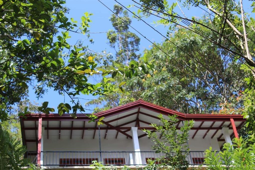 Amado Homestay เอลลา ภายนอก รูปภาพ