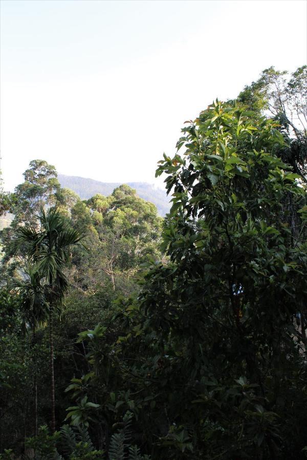Amado Homestay เอลลา ภายนอก รูปภาพ
