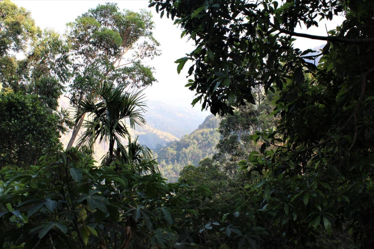 Amado Homestay เอลลา ภายนอก รูปภาพ